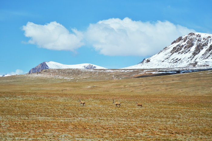 DSC_6646_副本_1.JPG