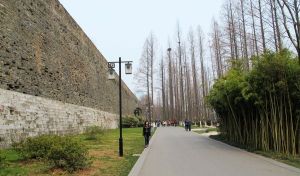 2014年12月14日南京三夫俱乐部环明城墙徒步活动，让我们用自己的方式追寻历史的根源。