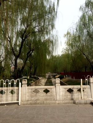 2015年4月活动：走街串巷一日骑行，聆听老北京的问候（4月11日）