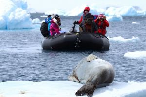 【三夫国际旅行社】11月活动：性价比之王南极体验—冰海皮划艇、雪地徒步、行摄的净土（2017年11月11日--11月20日）