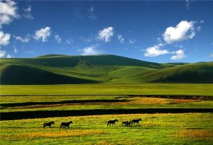 2018年八月活动：策马纵歌大草原——外蒙古国家公园无人区黑地衣湖骑行探索（ 8月11日——8月19日）