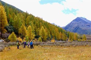 【活动成行】【三夫国际旅行社】十月穿越阿坝秘境昌德沟、羊拱海、俄木塘,感受川西北的诗情画意(2018年9月30日-10月6日)