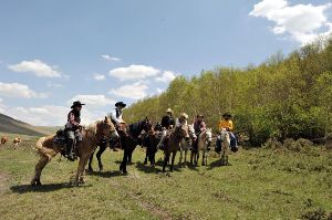 【三夫活动】7.13晚-7.15，坝上草原骑马穿越、体验游牧生活