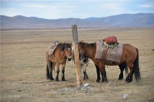2018年九月活动：策马纵歌大草原——外蒙古国家公园无人区黑地衣湖骑行探索（ 9月8日——9月16日）