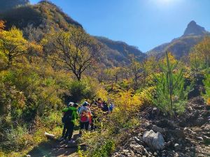 【三夫活动】石虎线:黄岩口-大石虎村休闲徒步,捡果子赏秋(10月27日周六)