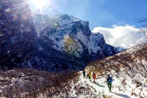 2019春节活动：拥抱雪峰梦境——世界顶级徒步线路系列之尼泊尔ABC环线 （2019年2月6日—2月16日）