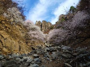 【三夫活动 名额暂满】房山十渡核心穿越,错过这个线路,你将错过整个春天(3月30日 周六)