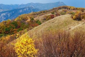 【三夫会员免费活动-韶音赞助】北灵山徒步穿越看漫山秋色：无字碑-无名山-实心楼-黄草梁-象鼻山-柏峪（10月13日周六）暂满