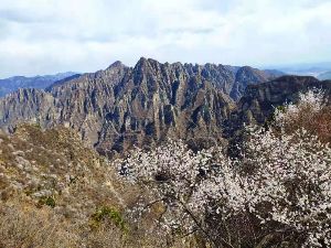 【三夫活动】房山十渡核心徒步，穿行最美桃花谷（2021年4月10日周六）