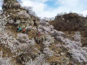 【三夫活动】房山十渡核心徒步，穿行最美桃花谷（2021年4月10日周六）
