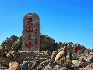 【三夫活动】2021年7月31日周六，北京最高峰-东灵山徒步穿越：孔涧-东灵山顶-下马威