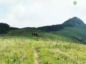 【三夫活动】西湖林-老龙窝-达摩村穿越，徒步高山草甸原始森林（8月21日周六） 